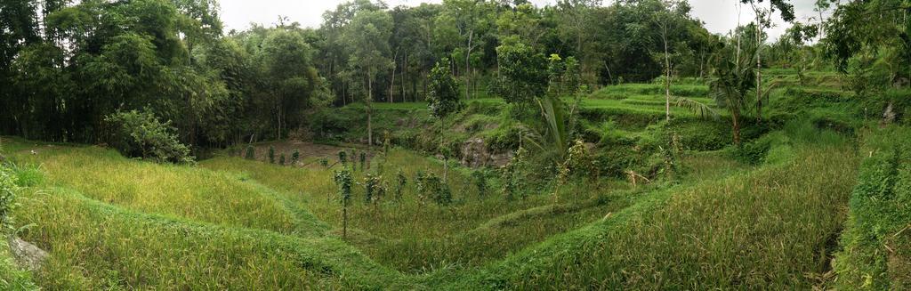 Hotel Dream Catcher Camp Tetebatu Exterior foto